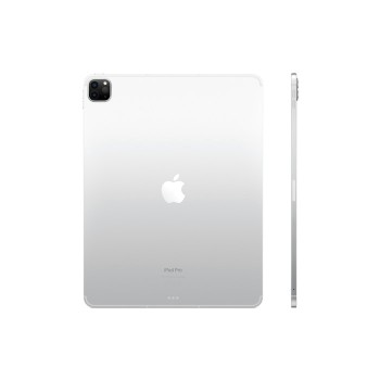 iPad Pro 11'' Wi-Fi + Cellular