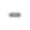 ADAPTADOR USB-C P/ APPLE PENCIL